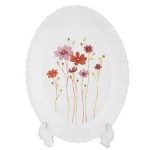 دیس بیضی کانتری فلاورفرانسه